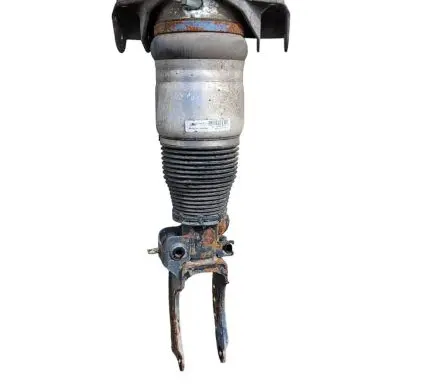 Porsche Cayenne (9PA) Air suspension front shock absorber 7L5616039F 166ATE0278244A