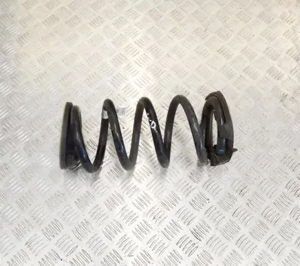 Tesla Model Y Rear coil spring 118847400B
