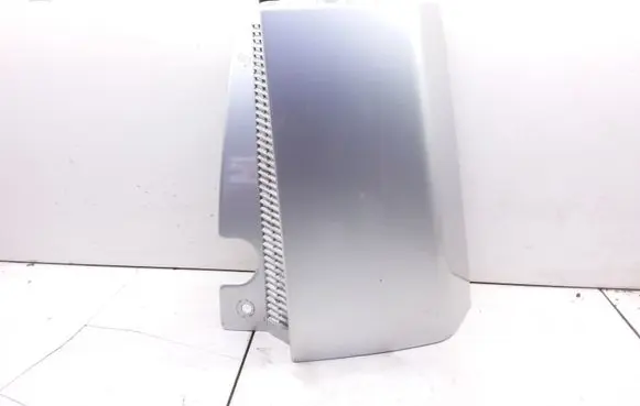 Rear/tail light trim molding