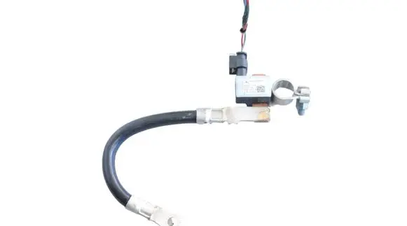 Mercedes-Benz GLE W167 Positive wiring loom A0009058212