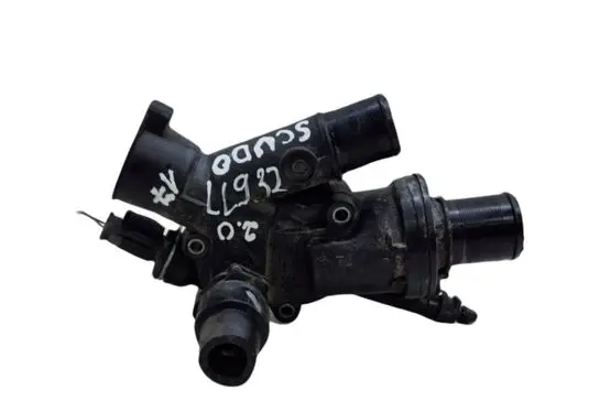 Thermostat/thermostat housing