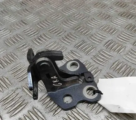 Rear door lower hinge