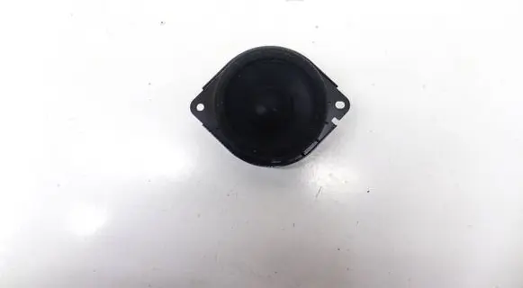 Rear door speaker