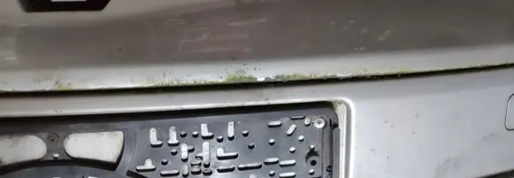 Renault Espace - Grand espace IV Front bumper