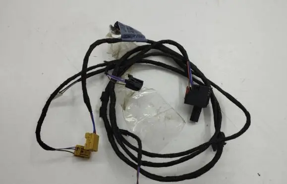 Rear door wiring loom