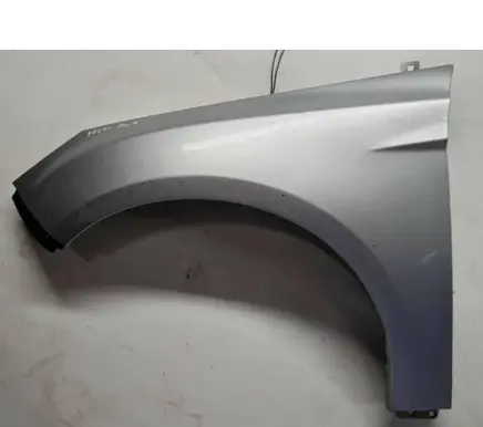 Ford Focus Fender