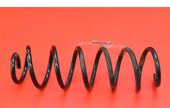 Rear coil spring