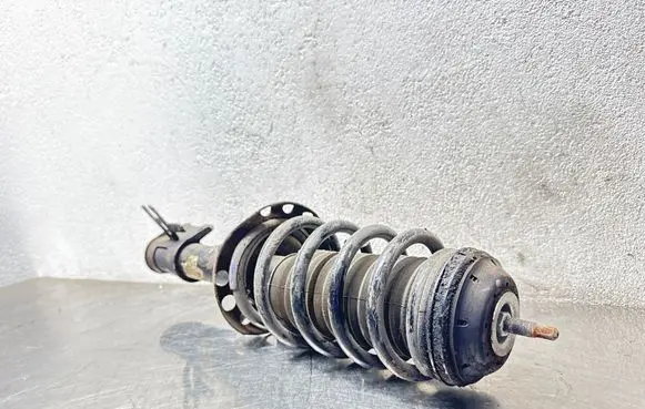 Opel Meriva B Front shock absorber with coil spring 22258452