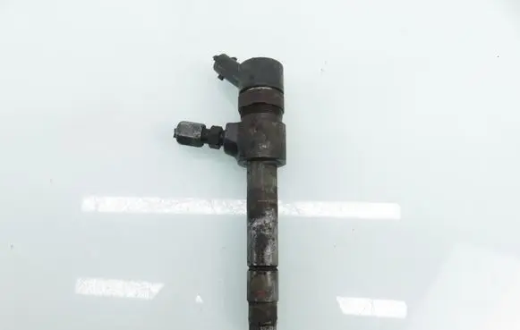 Opel Zafira B Fuel injector 0445110165