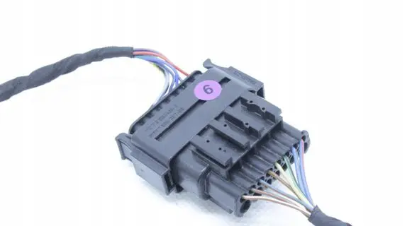 Other wiring loom