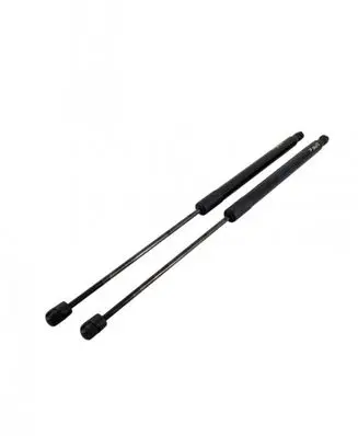 Ford B-MAX Tailgate/trunk strut/damper AV11R406A10AB