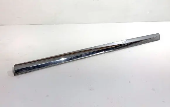 Rear door trim (molding)