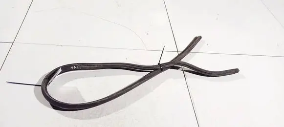 Ford C-MAX I Rubber seal front coupe door 