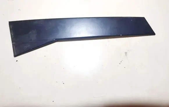 Other front door trim element