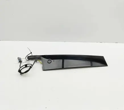 Ford Mustang Mach-E Front door glass trim molding LJ8BR20899AGW LJ8BR224B00BC
