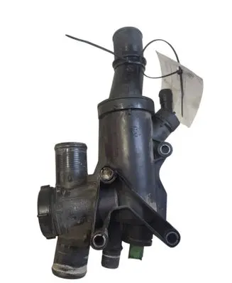 Thermostat/thermostat housing