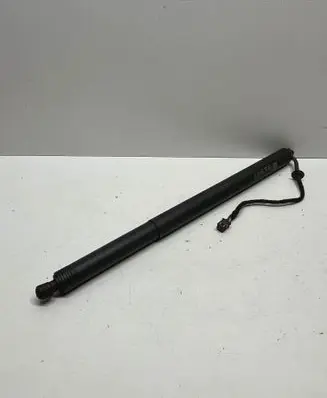 Tailgate/trunk strut/damper