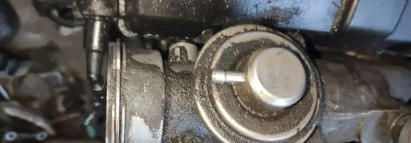 Seat Alhambra (Mk1) EGR valve 038129637L 038131501AA