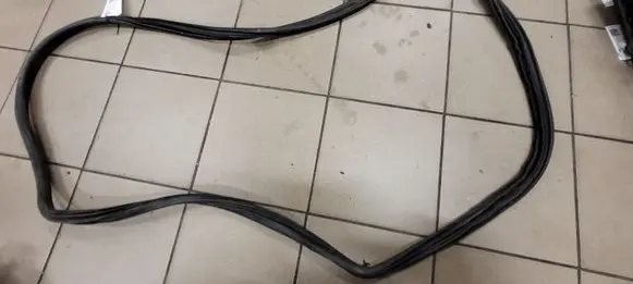 Rear door rubber seal (on body)