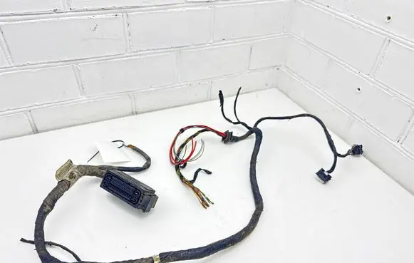 Mercedes-Benz CLK A209 C209 ABS module connector plug A2095407506