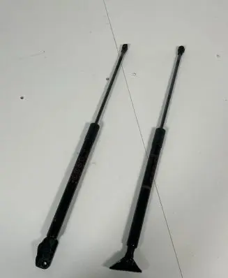 Tailgate strut