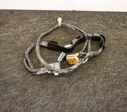 Tesla Model X Other wiring loom 106433600B