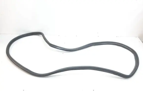 BMW 2 F46 Rear door rubber seal (on body) 7316818
