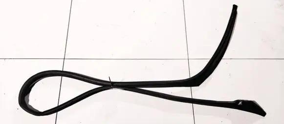 Renault Laguna II Rubber seal rear door 