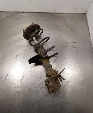 Front shock absorber with coil spring