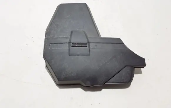 Engine bonnet/hood lock trim molding