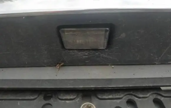 Number plate light