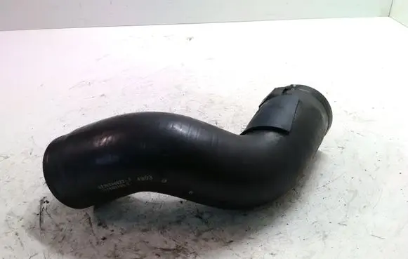 Renault Scenic II - Grand scenic II Intercooler hose/pipe 8200246222A