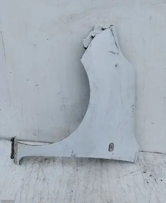 Renault Kangoo II Fender