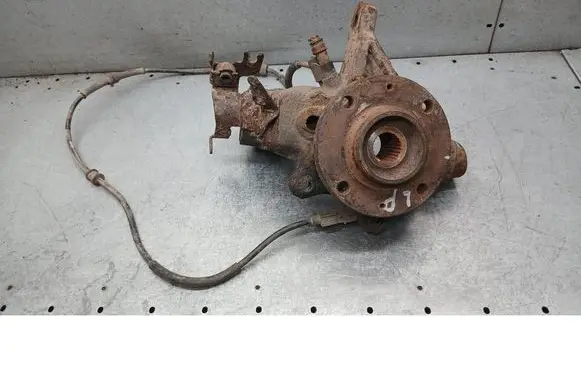 Citroen Xsara Picasso Front wheel hub spindle knuckle 