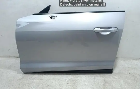 Audi E-tron GT Front door 4J3831051C