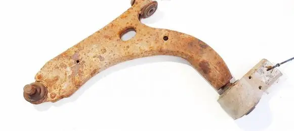 Front lower control arm/wishbone