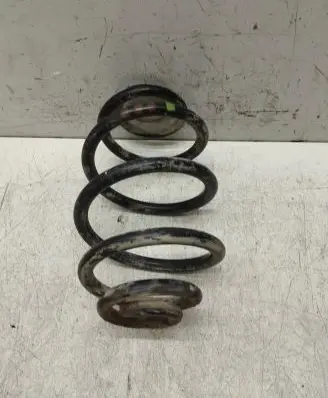Volkswagen PASSAT B5 Rear coil spring