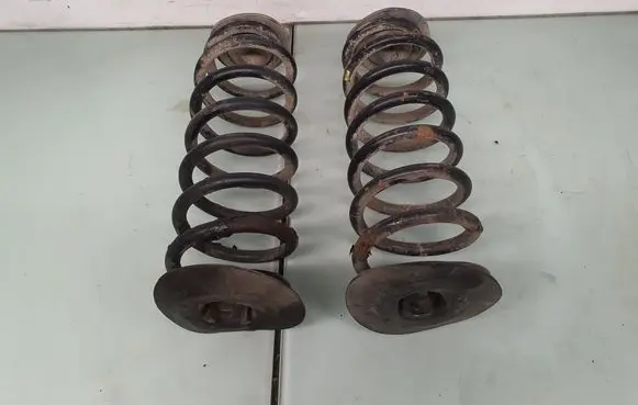 Rear coil spring