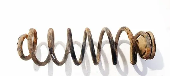 Skoda Roomster (5J) Rear coil spring 
