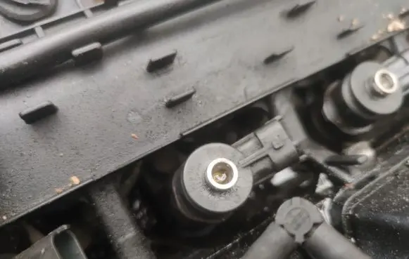 Peugeot 206 Fuel injector 0445110075 9641496180