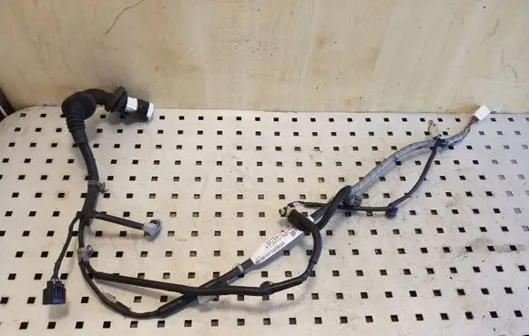 Rear door wiring loom