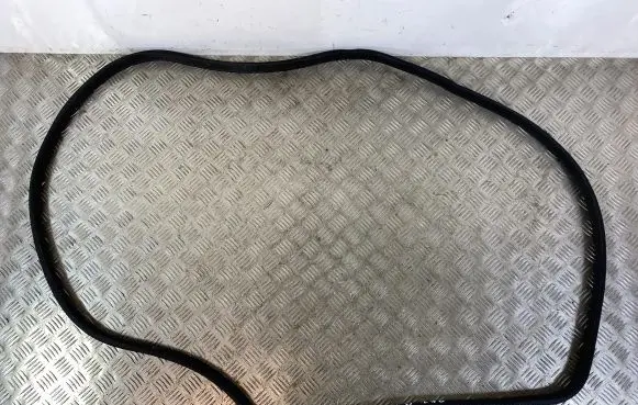 Rear door rubber seal (on body)