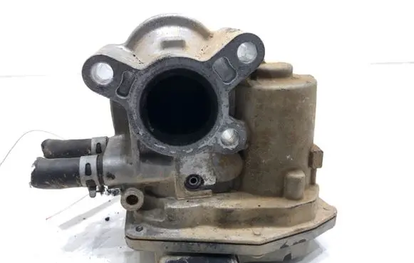 EGR valve