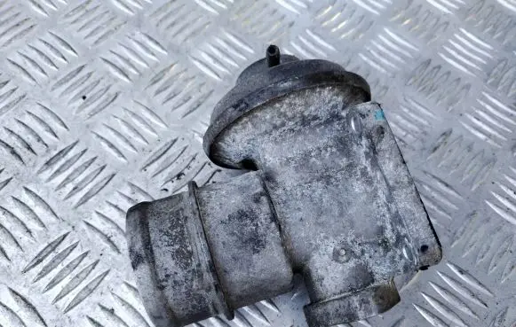 EGR valve