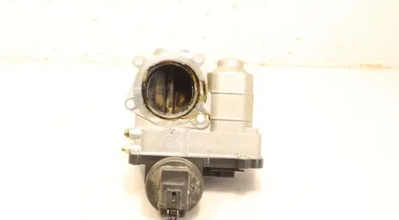 Throttle body valve