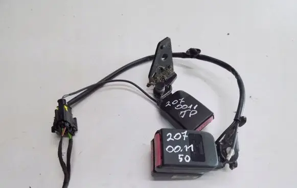 Peugeot 207 Seat belt trim 96667tyuut23