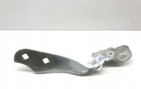 Tesla Model 3 Engine bonnet/hood hinges 109879300D