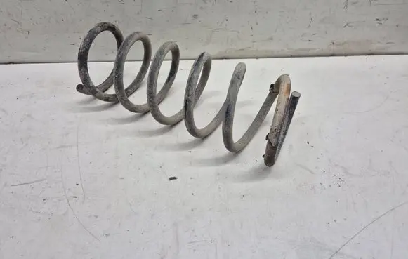 Rear coil spring