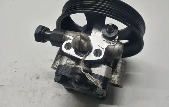 Hyundai Santa Fe Power steering pump