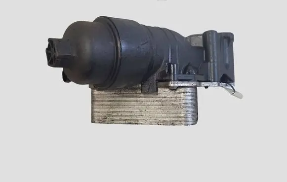 Nissan Qashqai Oil filter mounting bracket 152085948R